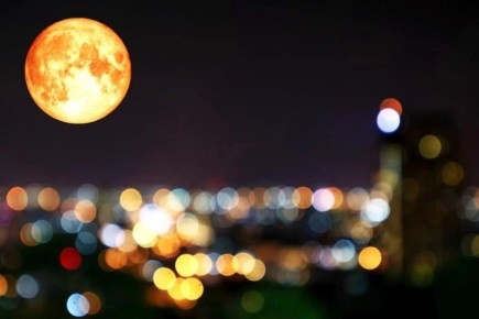 ������� 2026 �� ������� ���������: �������� ���� � ������������ ��� ������