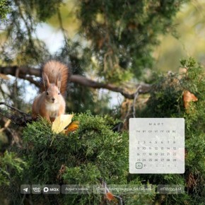 ������ ����!. 30 ����� � ������ ���������� ����������, ������� ��������� �����