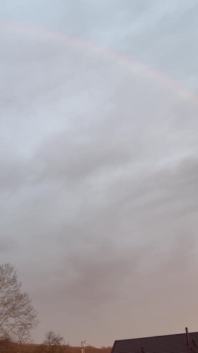 ������ ��� ��������