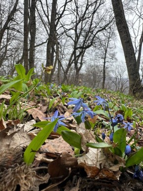 ������ ����!. ������� � ������ ��������� �� +13, � ������ �������� ������� ��������� �����