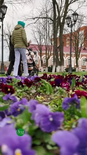 Пробуждение природы. АМ Подписывайтесь на наш канал в МАХ: