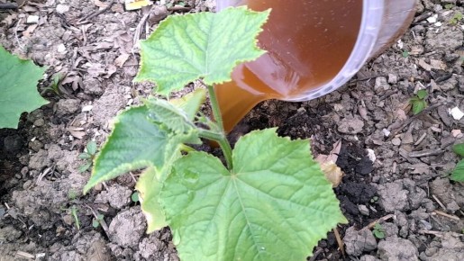 ����������� ������������ ��������� ��� �������, ������� ��������