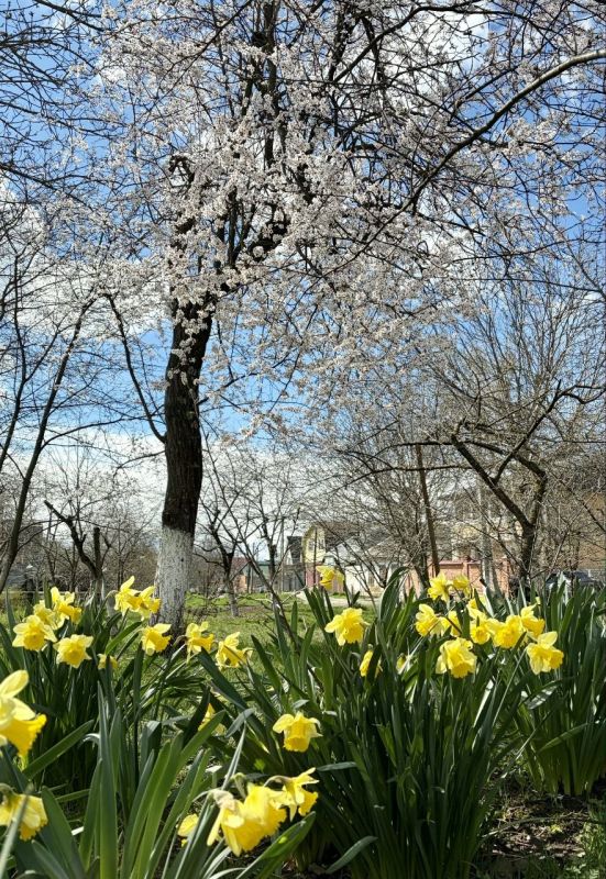 2 ������ � ������ ����. ����������� ������� � ��������� ����� +12� +20 �C. ����� 4-6 �/�