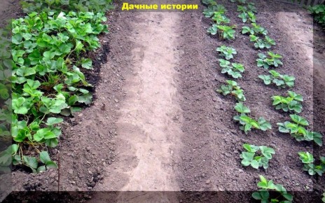 ��� ��������� ���������� �������� ����� ������� �������