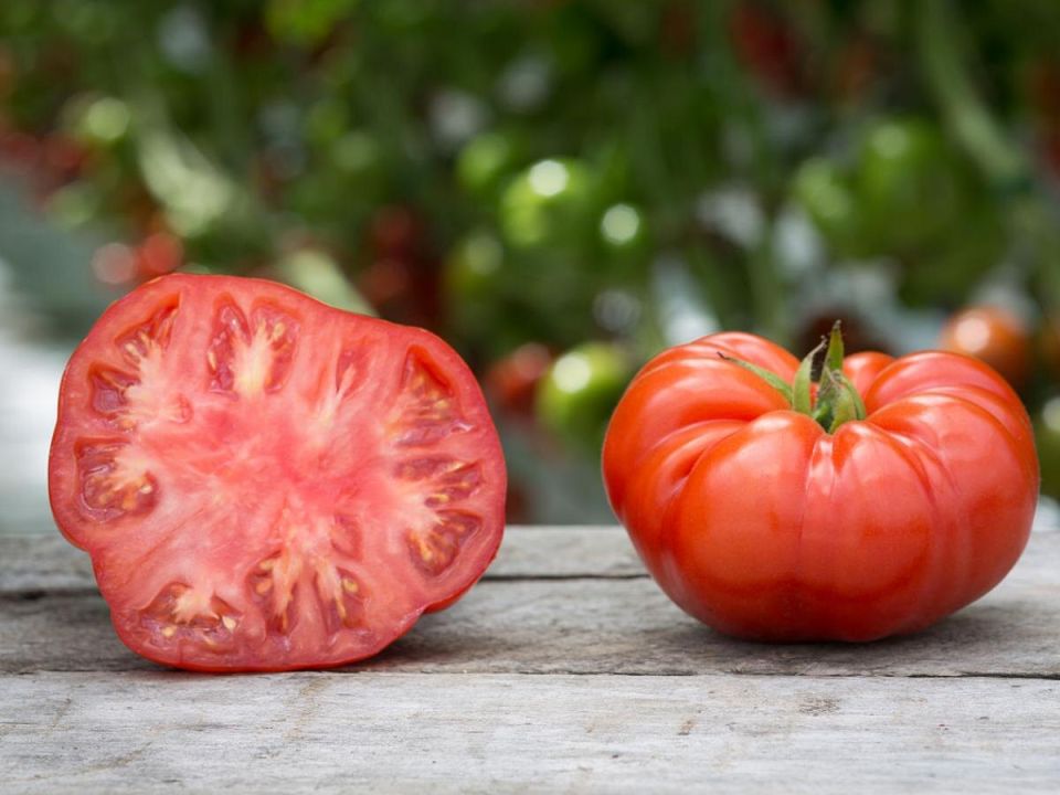 ������ �� ������: ������� �������� ������ ���������