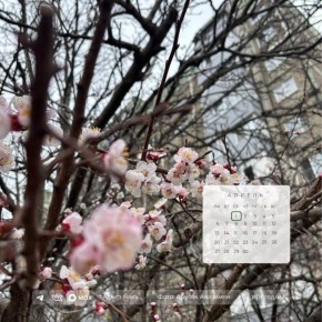 Доброе утро!. 1 апреля в Адыгее ожидается солнечная погода