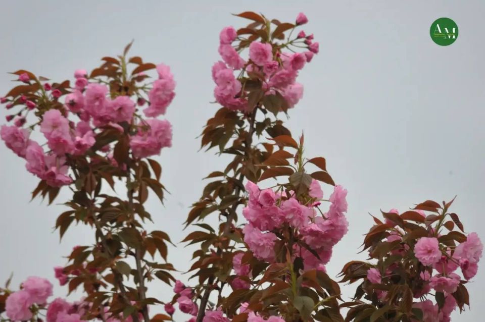 �������� �����: ����� �������� ����������� ������?