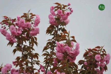 �������� �����: ����� �������� ����������� ������?