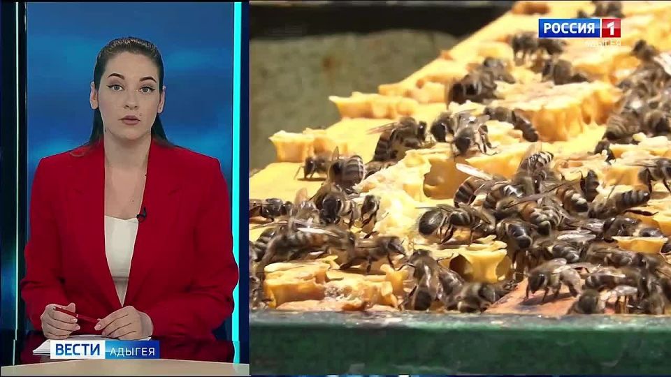 � ����� �������� ������� ����� �������� ��������� ��������, � ������ ����� �������� � ������ �������� - ���� � ������