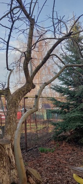 ��� ������� � ����� ������ �������: ������� �������� ������� ��� ��������� ������