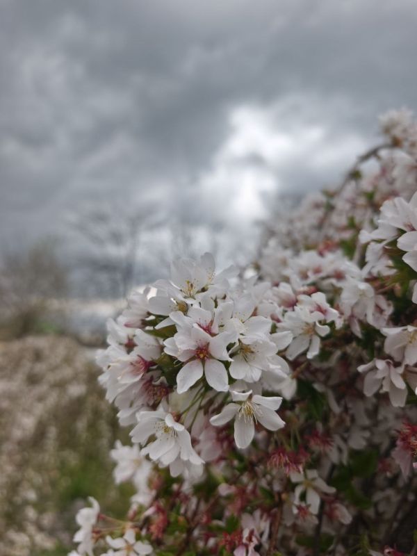 4 ������ � ������ ��������, ������� �����