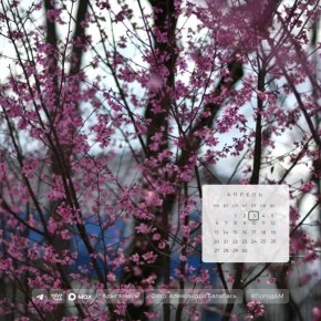 ������ ����!. 3 ������ � ������ ��������� �����