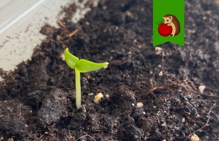 ��� ��������� ������� ������� ������: �������� ������ ��� ���������