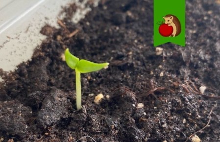 ��� ��������� ������� ������� ������: �������� ������ ��� ���������