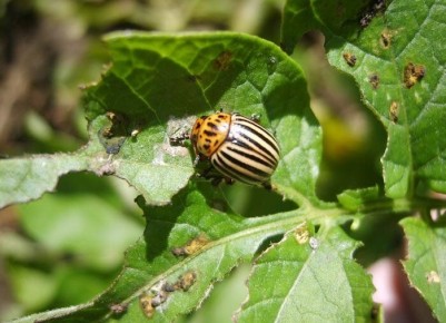 ��� ���������� ���������� � ����������� �����