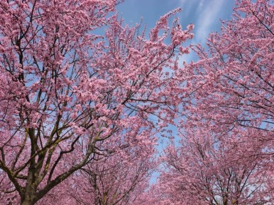 5 ������ � ������ �������, �������� �����