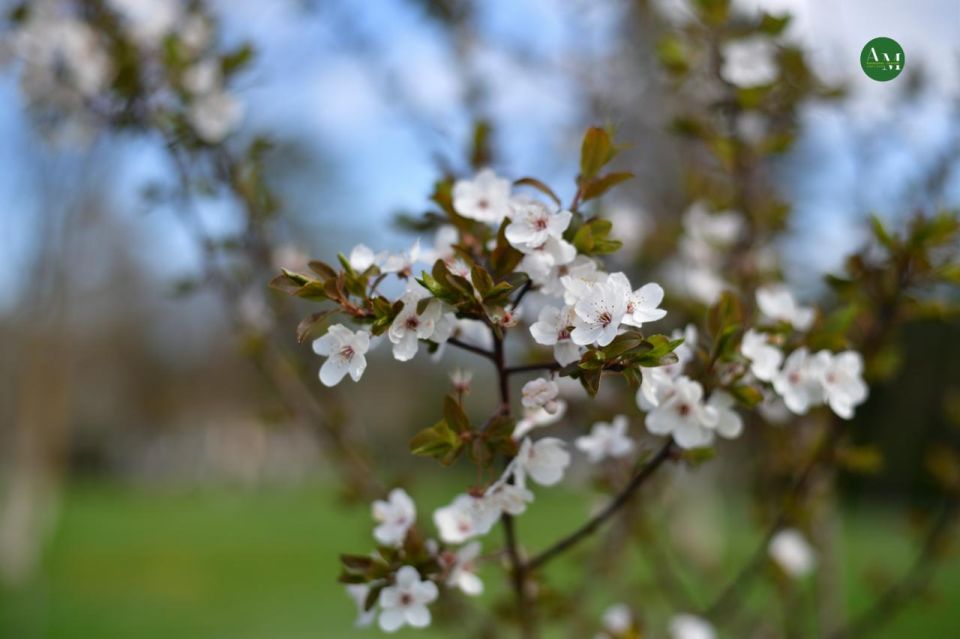 ������������. ����� ���� � ���