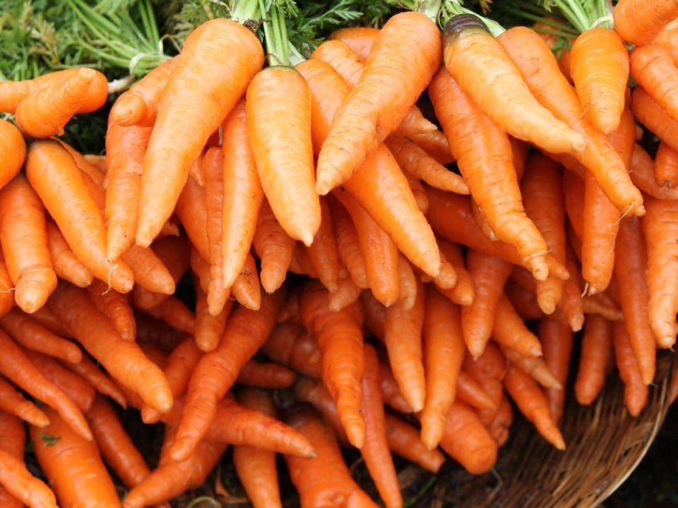 ��� ������� ������ ����� ������� ��� ������ ������ � 2025 ����