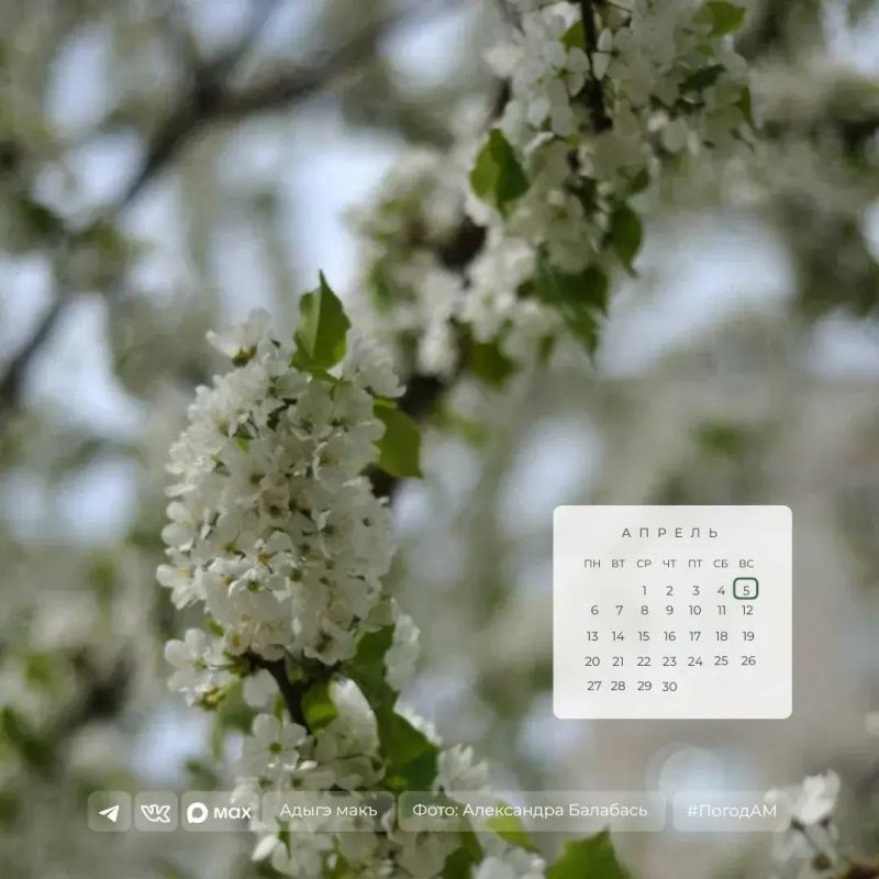 ������ ����!. 5 ������ � ������ ��������� �����