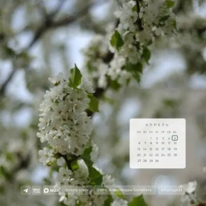 ������ ����!. 5 ������ � ������ ��������� �����