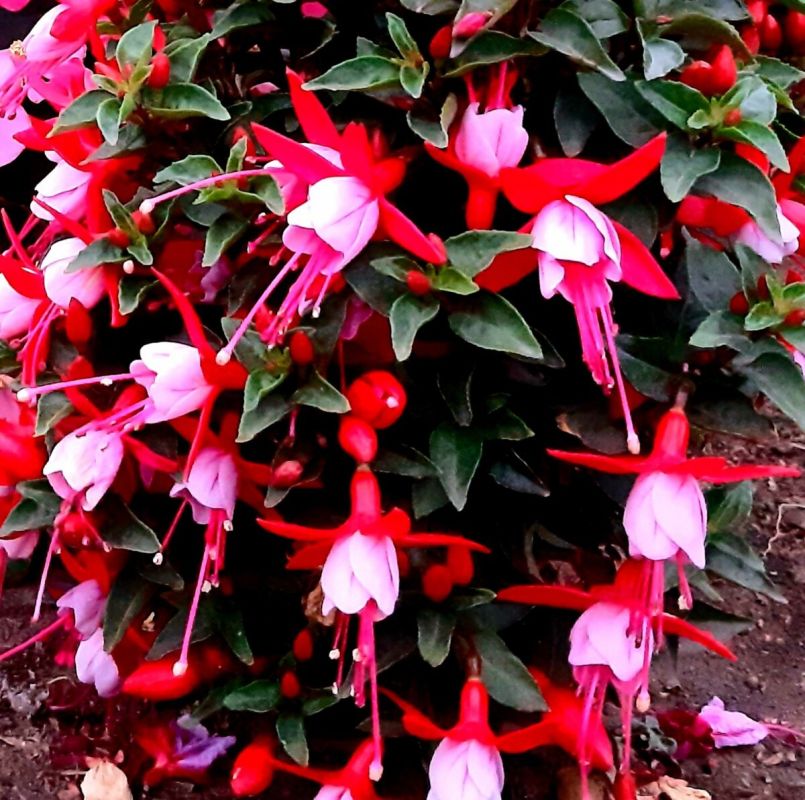 ������, ������� ������ � ����� �� �����