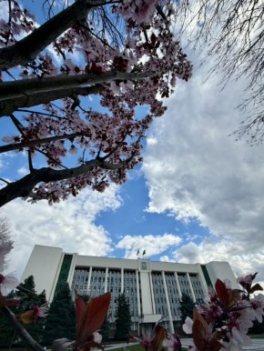 7 апреля в Адыгее облачно, возможен дождь