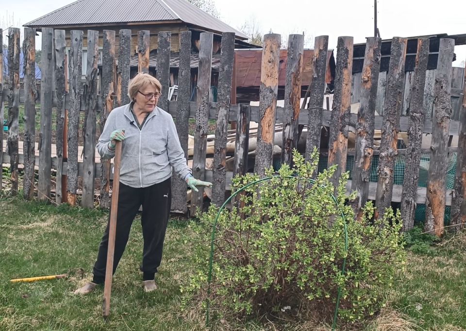 ���������� ����� ������� ������: ��� ����� ������� �� �������