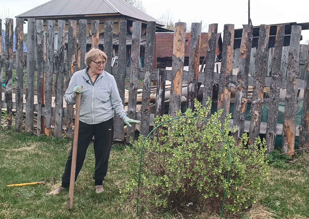 Апрельский старт дачного сезона: что нужно сделать на участке