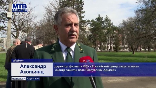 Площадь у будущего духовного центра Майкопа готовится к преображению