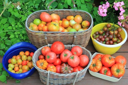 �������� ������: �����, ������� ����� ��������� ��� �����