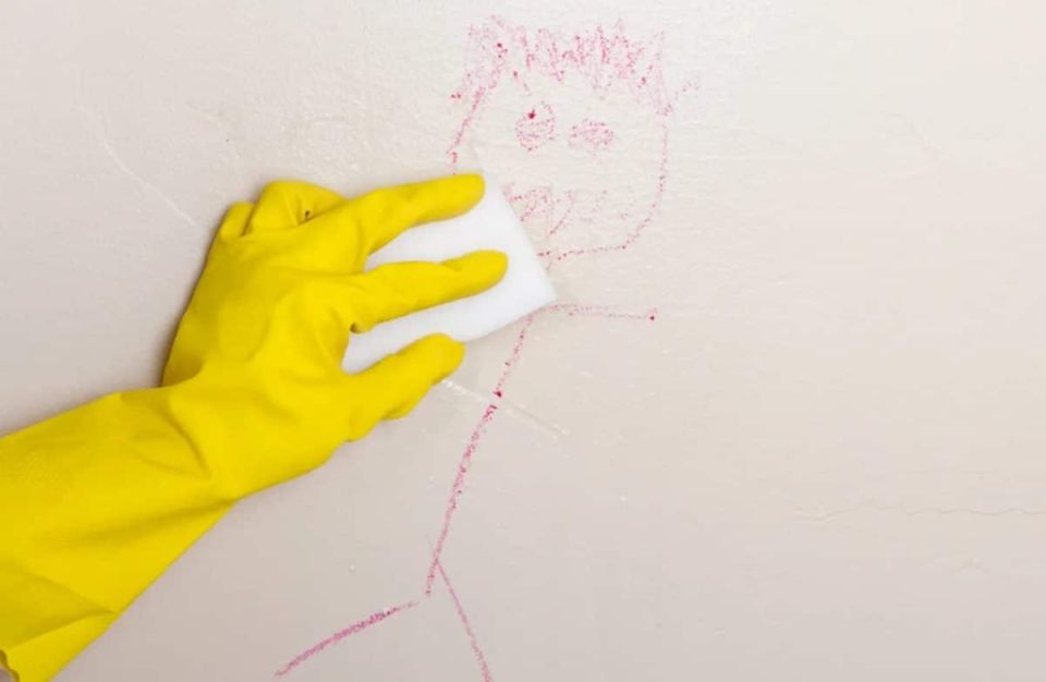 ����������� �����: ����������� �������� ������������� � ��� ������������� �����������