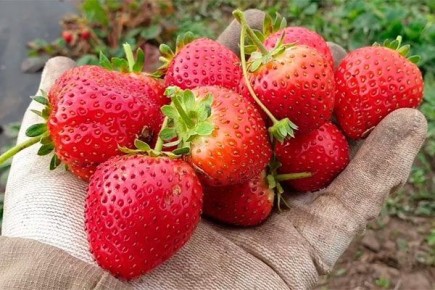 �������� ������: ��������� ����� ��� ���������