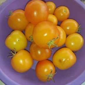 ����� �������� 530: ��������� ����� �� ����� �������