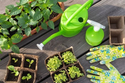 ��� ������� ��������� ������� ��� ������� ������: ������� ��������� ����������� �������