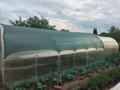 Как затеняющая сетка спасает ваши растения от жары