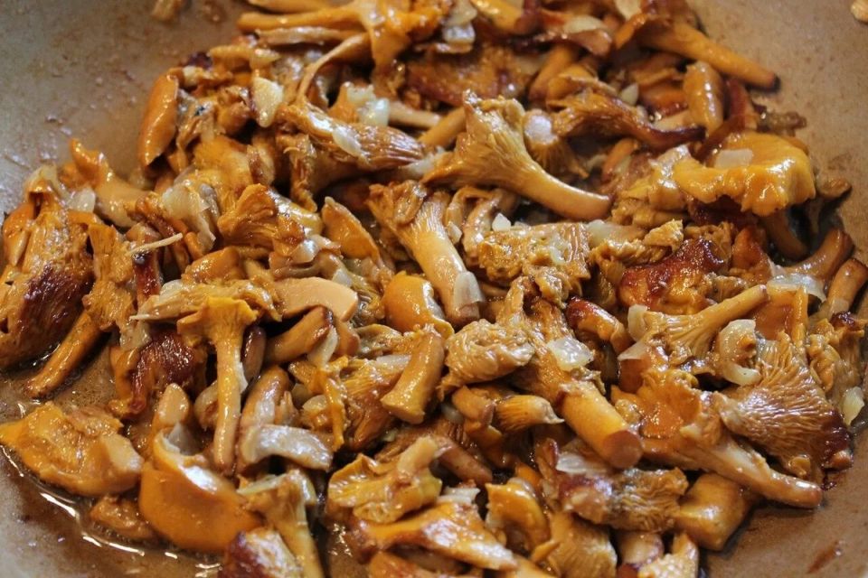 �����: ��� ����� �� �� ������������� ����������