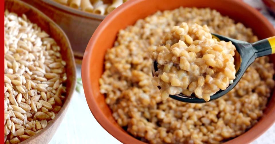 ������� �����: ��� ��� ������� ����� ����� �������� ���� ��������