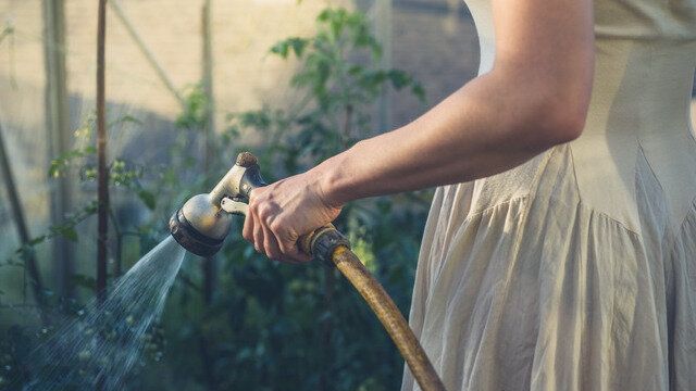 ��� �� �������� �������� � ����: ������ ������ �� ������