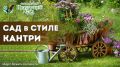 Очарование кантри-сада: Как создать уютное пространство на своем участке