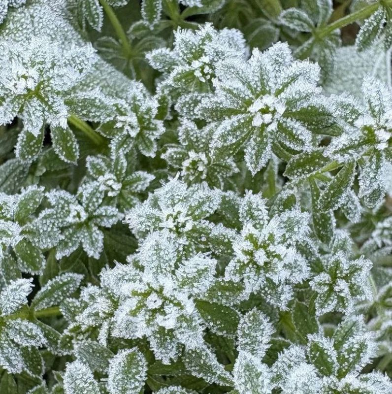 ����������� ������������ ��������� � ��������� ��� ��� � ������