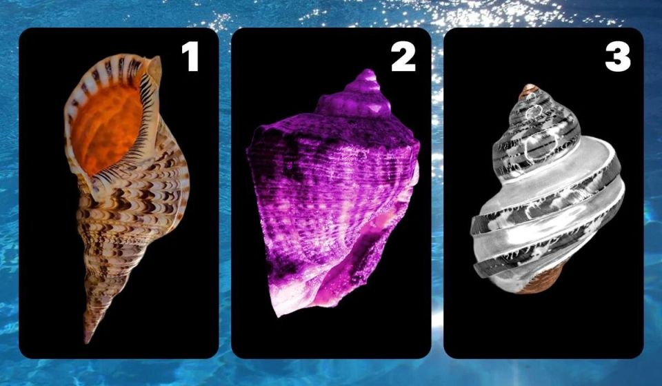 ��� ������� ���� ������� � ������ ������� �������?