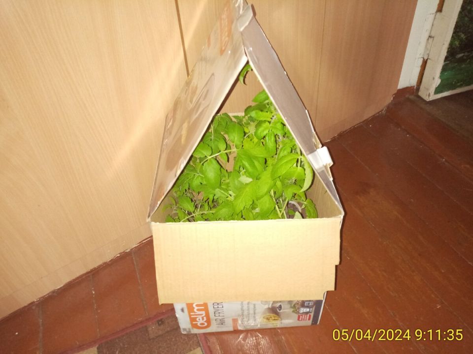 ��� ������ ������� ������� � ������: ������ ��� �������� ���������