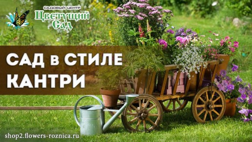 ���������� ������-����: ��� ������� ������ ������������ �� ����� �������