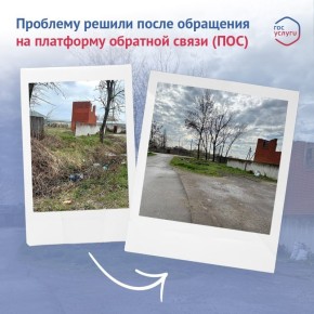 Жители Тахтамукайского района обратили внимание на состояние улицы Южной: на отдельных участках вдоль дороги скопился мусор, сухая растительность и поваленные деревья
