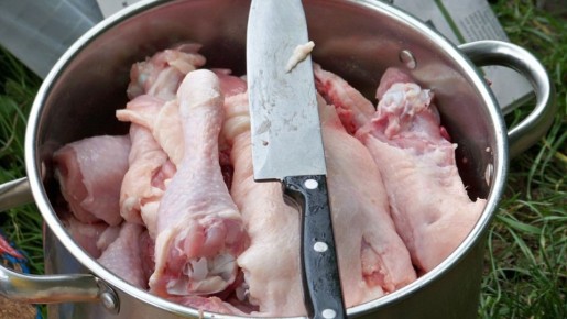 ��� ������� ������ ����� ����������: 5 ������� �������� ������� ���������� ����� � ����