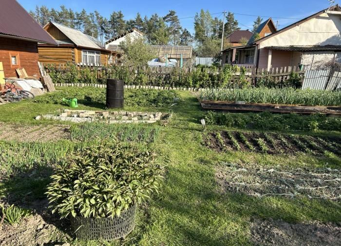 ����������� ���������: ��� ������� ����� ����������� ��� ���