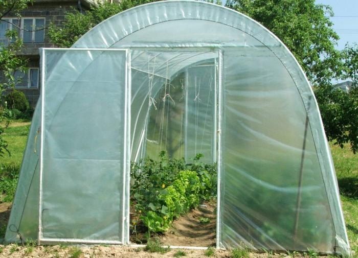 ��� ����������� ������� � ����: �������� ������ � �������