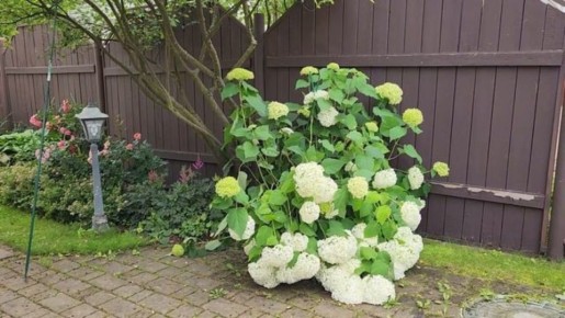 ��� ��������� �������� ����������� ��������� ������ ��� ������� �������