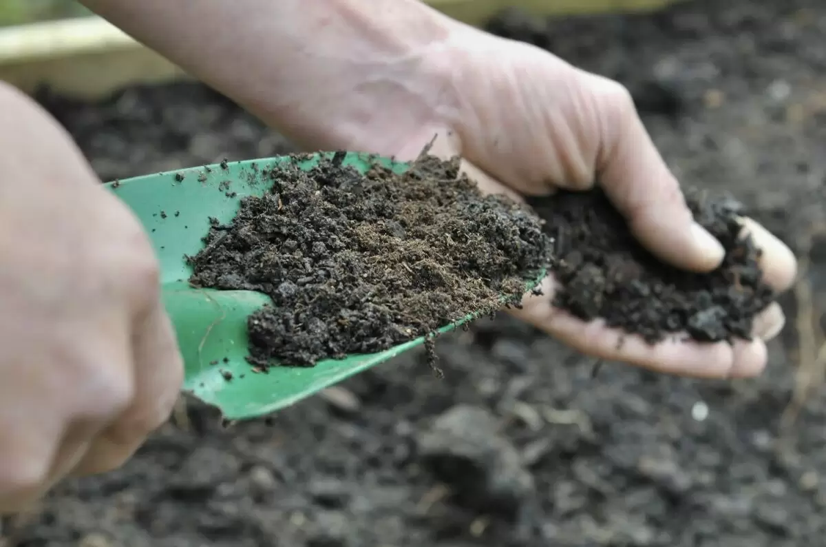 Органические удобрения: как выбрать лучшие для вашего сада