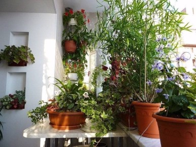 ������ ������� ��� ��������� ��������� ��������